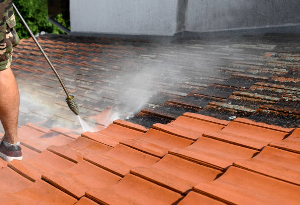 Best Roof Pressure Washing  in West Ocean City, MD